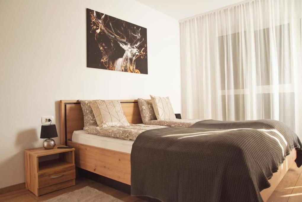 5 Dream Apartment 5 Cu Parcare Privata Oradea Εξωτερικό φωτογραφία