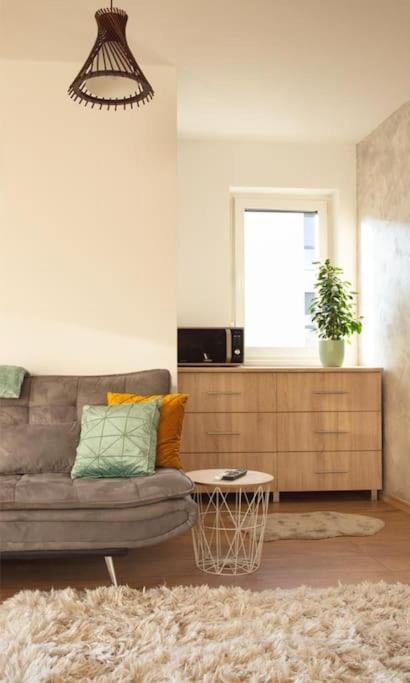 5 Dream Apartment 5 Cu Parcare Privata Oradea Εξωτερικό φωτογραφία