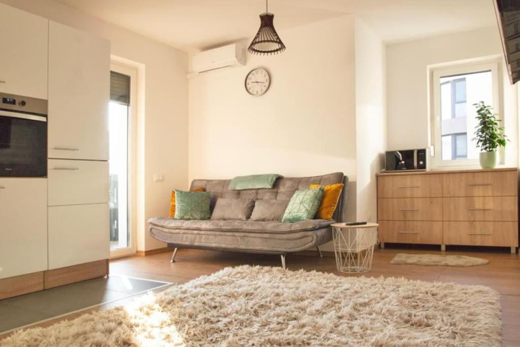 5 Dream Apartment 5 Cu Parcare Privata Oradea Εξωτερικό φωτογραφία